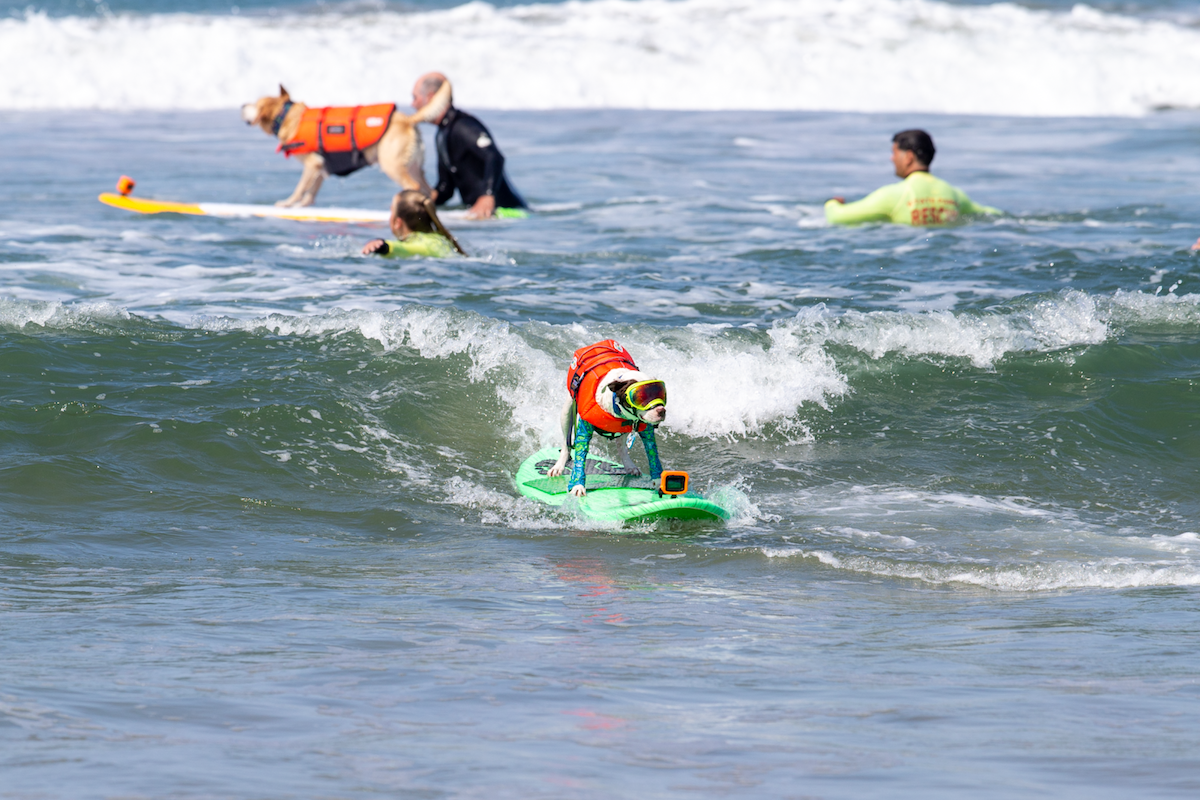 Best Things To Do This Weekend In Los Angeles And SoCal: June 23 - 25 - Vimarsana News