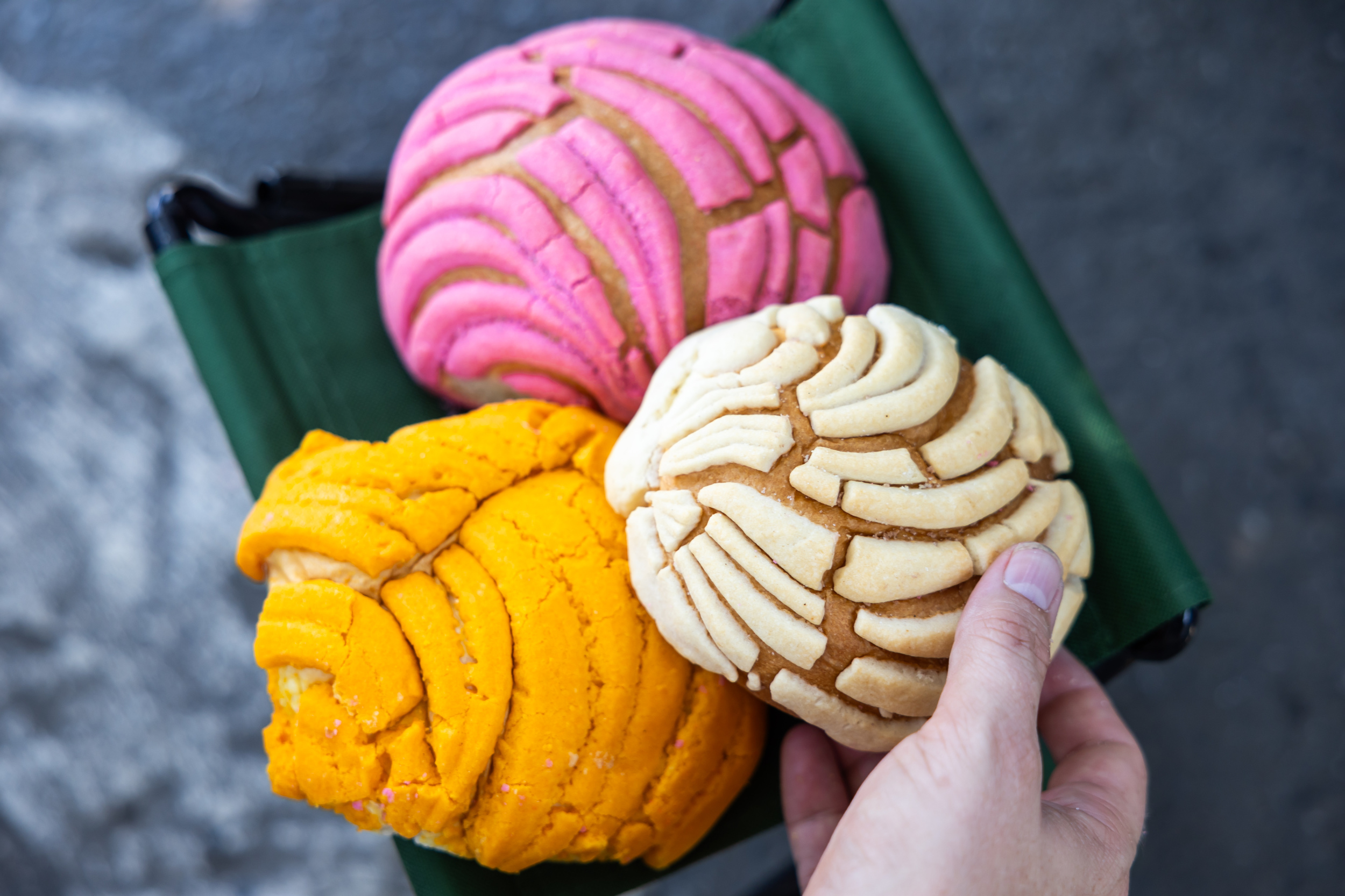 Conchas In LA - Vimarsana News