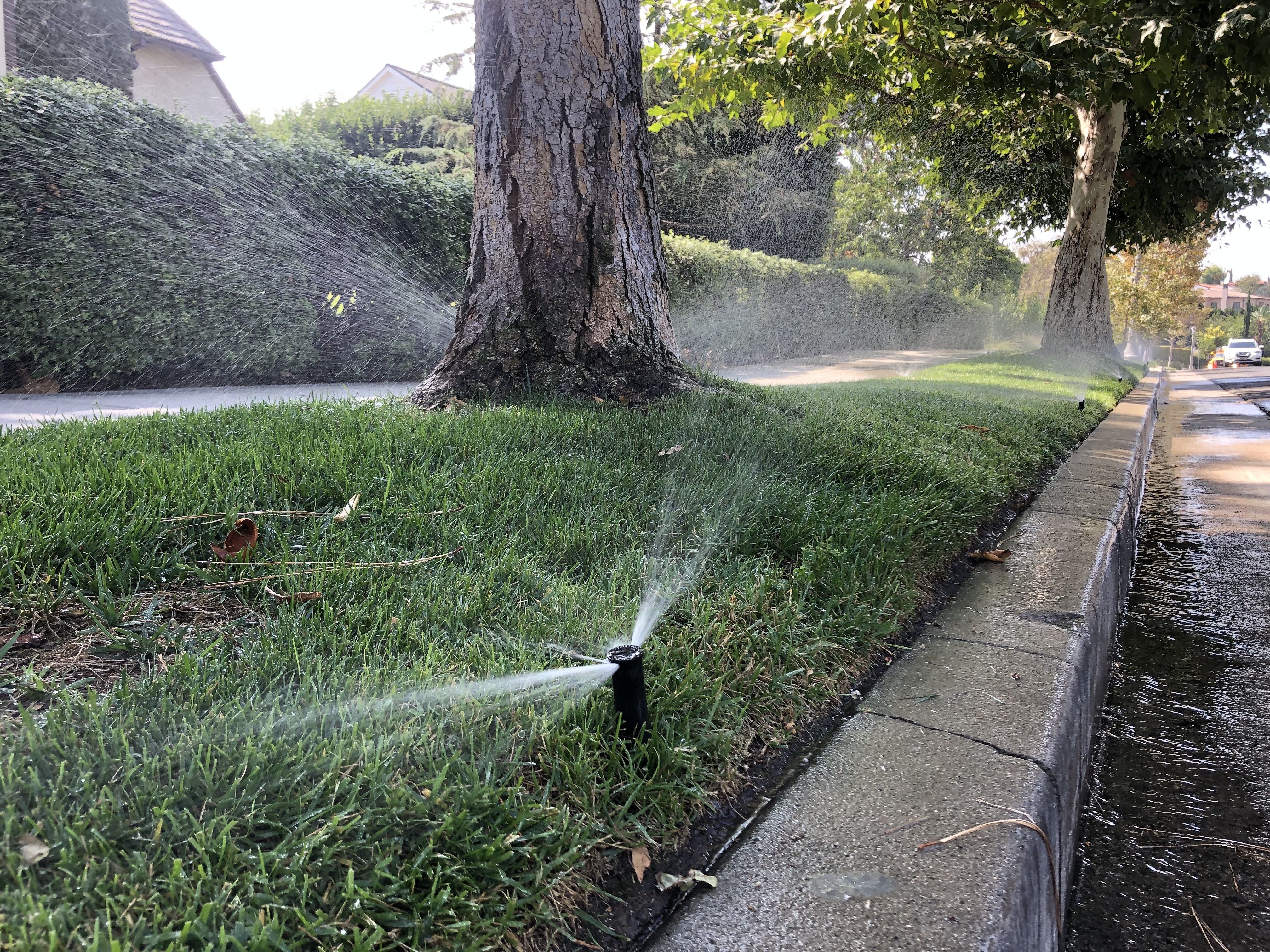 Morning Brief: Water Usage, Mask Mandate Pause, Midsummer Halloween Convention - Vimarsana News
