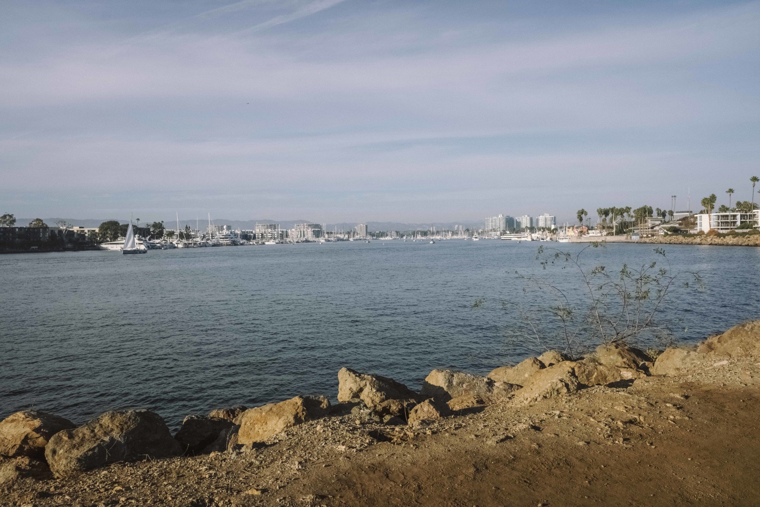 Two LA Beaches Rank As The Most Polluted (And Other Headlines) - Vimarsana News
