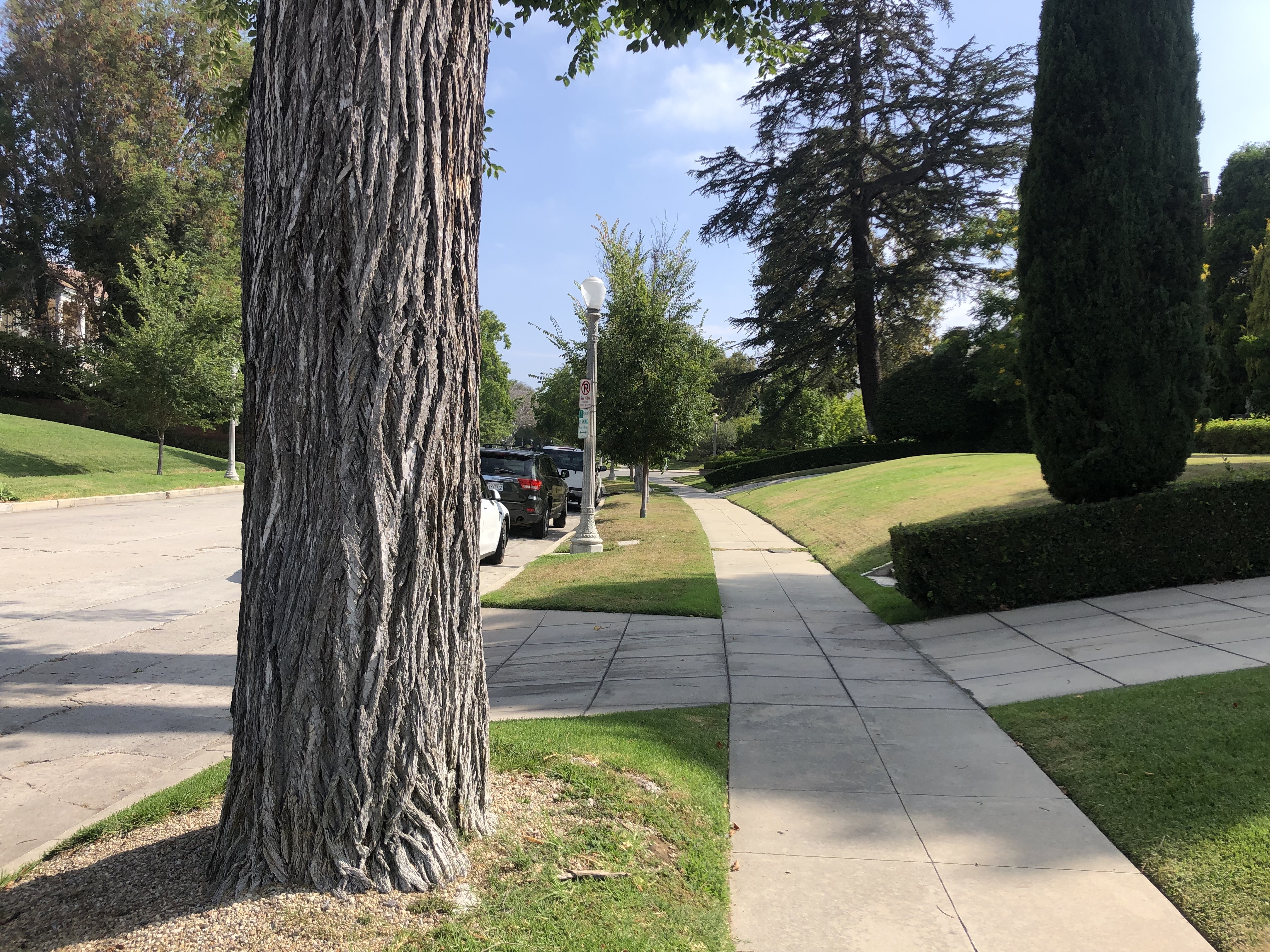 Water Waste Complaints Are Up, Mostly In LA's Lushest Neighborhoods - Vimarsana News