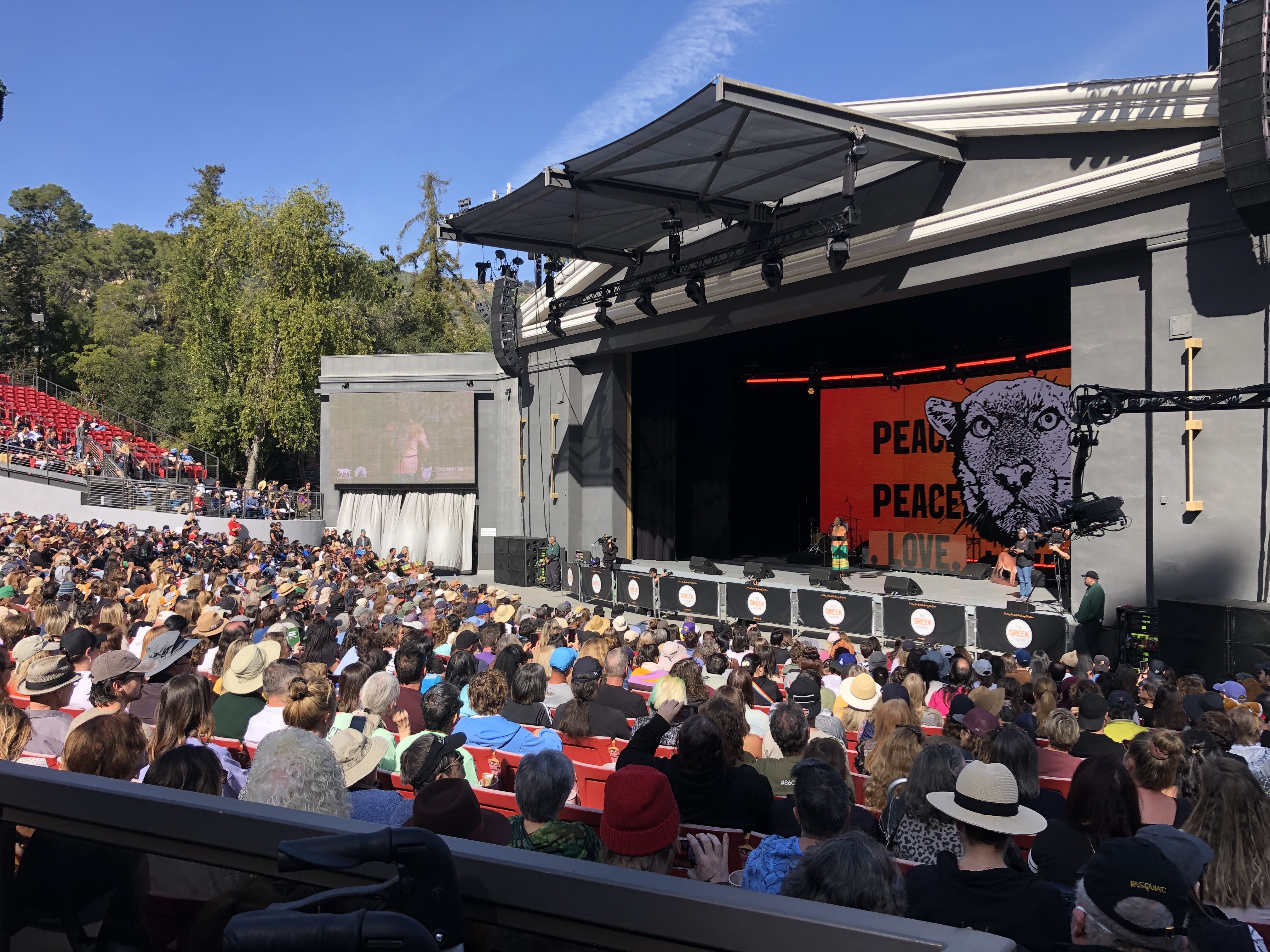 Angelenos Gather To Remember LA's Famous Mountain Lion - Vimarsana News