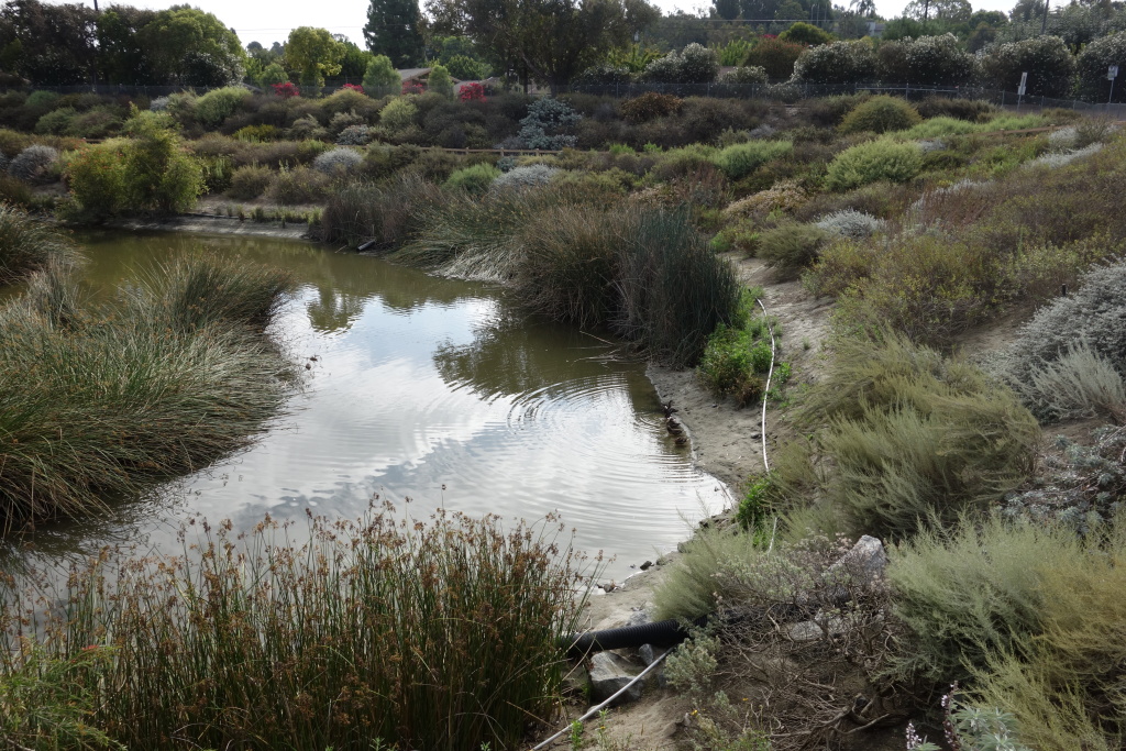How LA's Storm Capture System Currently Works And Why It Still Can't Grab Enough Rainwater - Vimarsana News